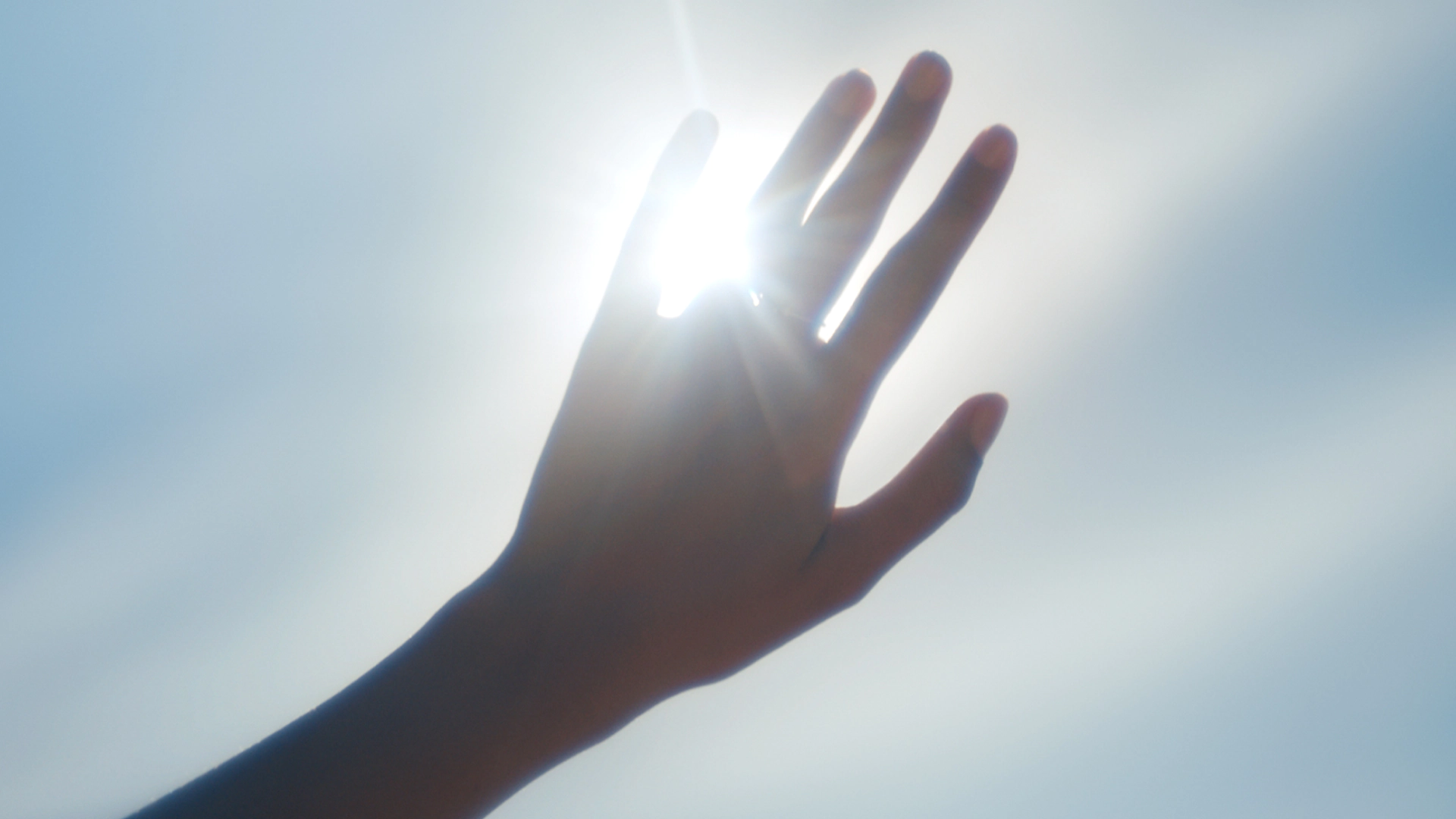Güneş ışığında bir el.